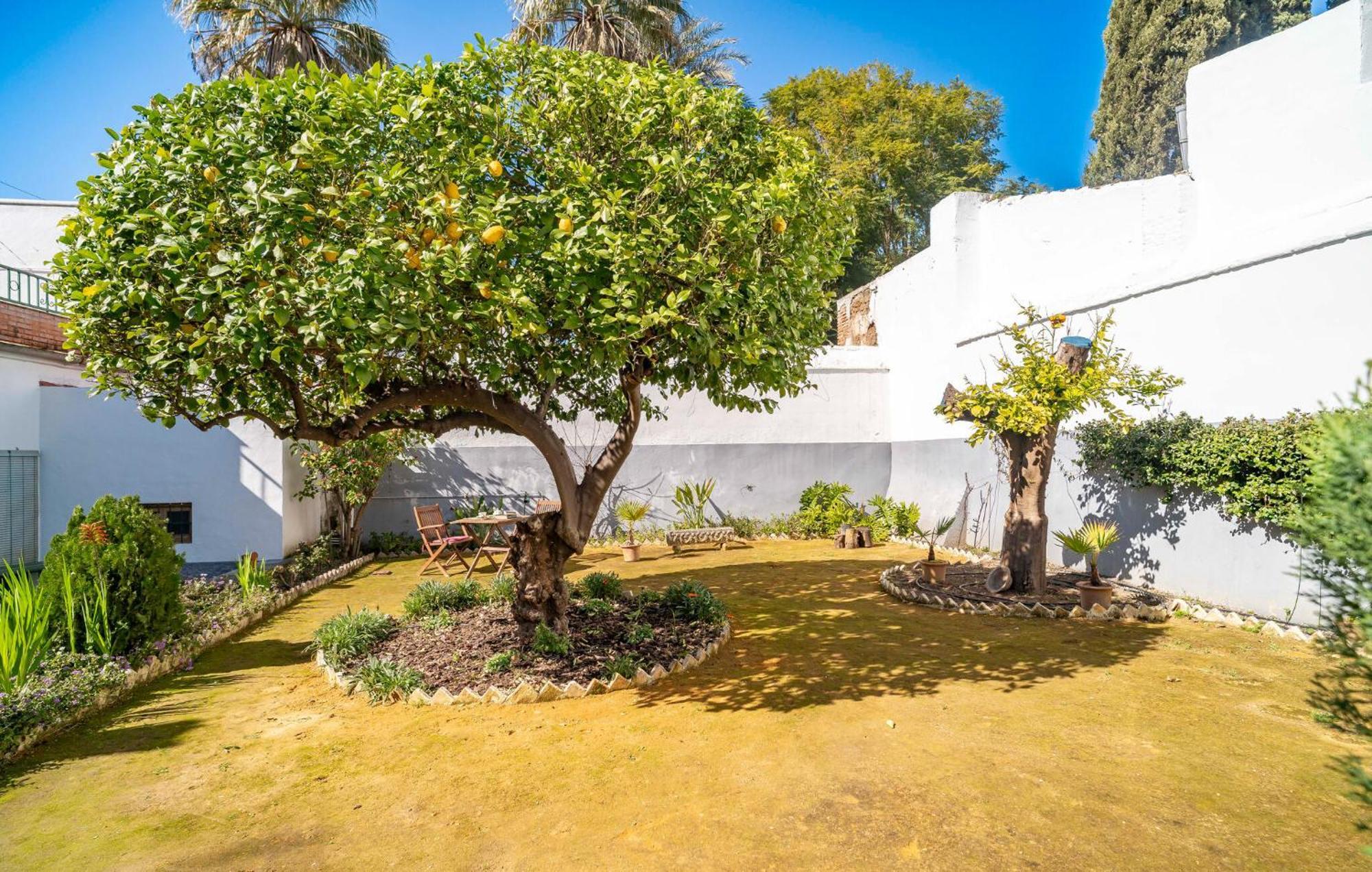 Апартаменти La Casa Del Limonero Penaflor Екстер'єр фото