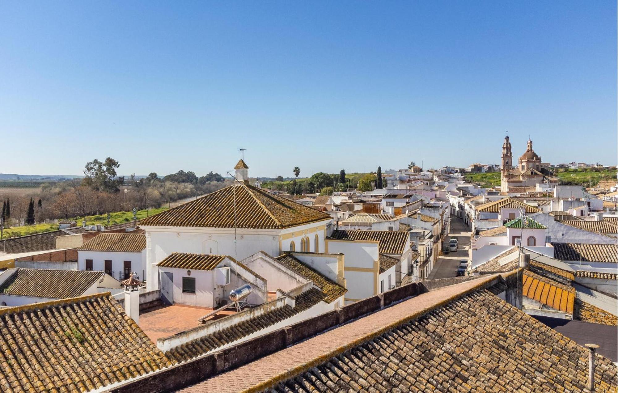 Апартаменти La Casa Del Limonero Penaflor Екстер'єр фото